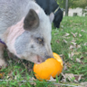 Meet your Posher, Kelly